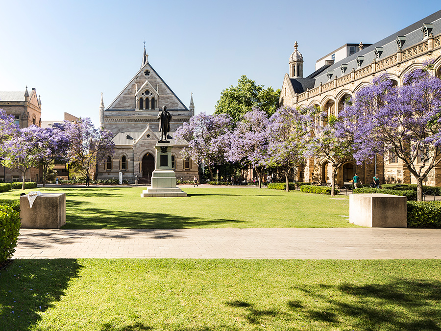 University of Adelaide Campus